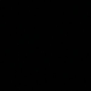 Meet your Posher, Ray